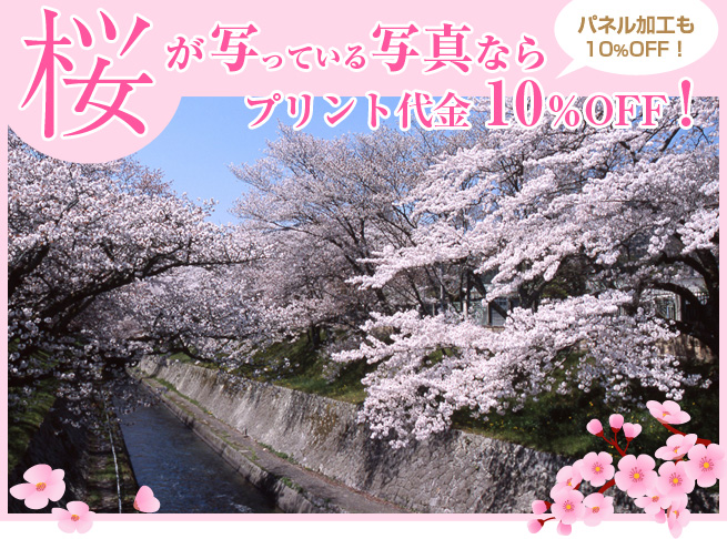 桜が写っている写真ならプリント代金10％OFF！