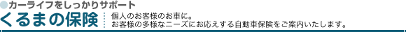 カーライフをしっかりサポート「くるまの保険」個人のお客様のお車に。お客様の多様なニーズにお応えする自動車保険をご案内いたします。
